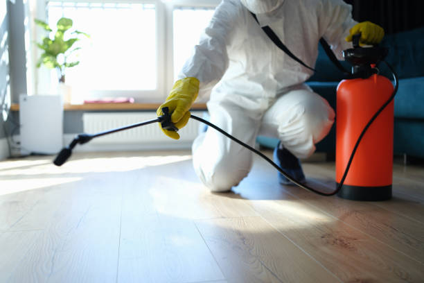 Reliable Blood Cleanup contractor in West Point, CA by Crime Scene Cleaner Online